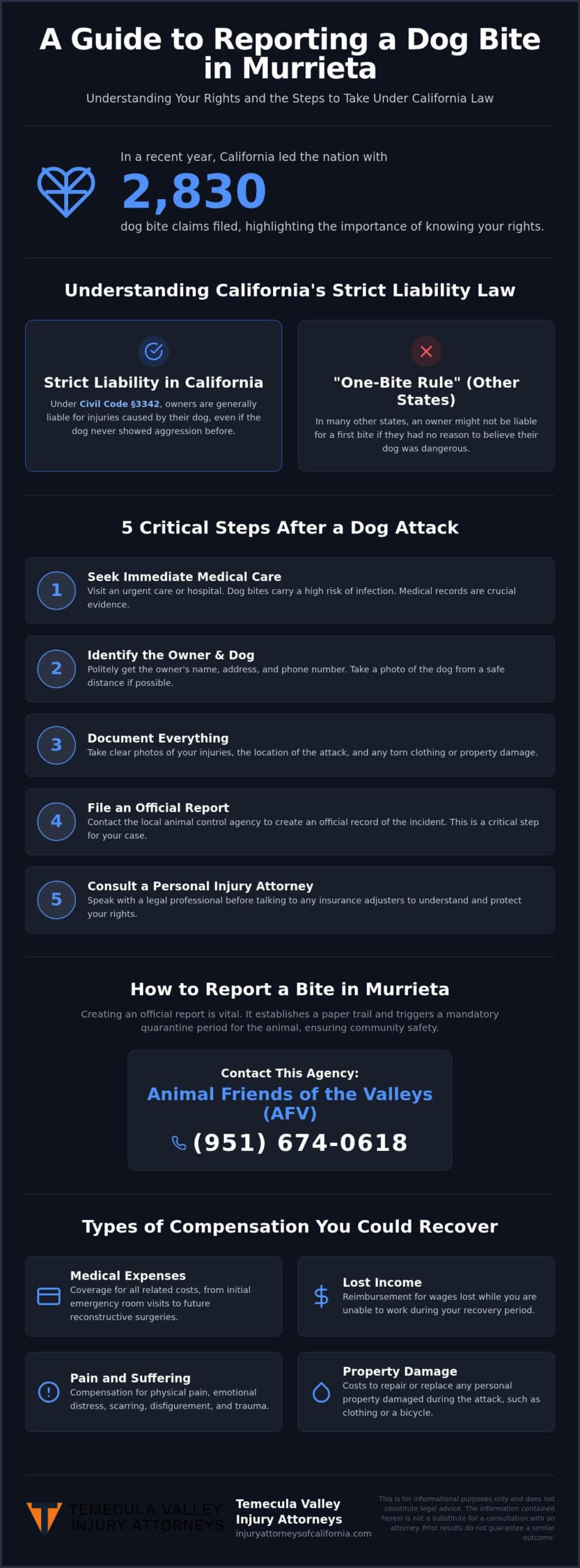 Suing for a Dog Bite in Murrieta: Legal Rights and Reporting Steps